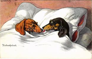 1906 Liebesheirat / Love marriage. Dachshund dogs kissing in bed s: Quidenus (EK)