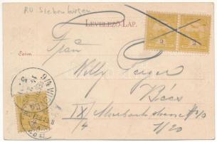 1903 Medgyes, Mediasch, Medias; ehem. Zekescher Thor / kapu. Fritz Guggenberger kiadása / gate