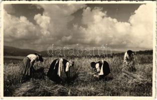 1940 Csíkszereda, Miercurea Ciuc; asszonyok a mezőn / folklore. Z.I. Aladics photo + "1940 Csíkszereda visszatért" So. Stpl (EK)
