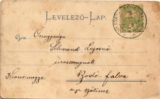 1905 Németszentmihály, Sanmihaiu German, Zillasch (Temes, Timis); Fő utca, templom / main street, ch...