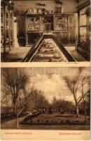 Szatmárnémeti, Satu Mare; Irgalmas Nénék anyaháza, múzeum belső, kert / nunnery, museum interior, garden