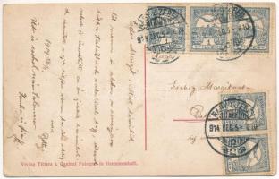 1914 Nagyszeben, Hermannstadt, Sibiu; Blumenverkauf am I-ten Blumentag / Első Virágkarnevál, Virág v...