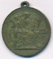 1896. "Millenniumi emlék / I. Ferencz József" kétoldalas bronz emlékérem füllel (30mm) T:X...