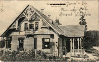 1909 Borszék-fürdő, Baile Borsec; Bellevue villa (Rb)