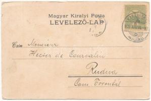 1905 Karánsebes, Caransebes; Új városház, piac. H. Perlfaster kiadása / Neues Stadthaus. Müller G. p...