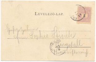 1899 (Vorläufer) Segesvár, Schässburg, Sighisoara; Petőfi szobor, Fejéregyházi honvédemlék a turulma...