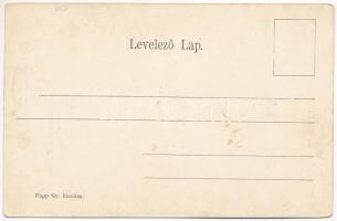 Gyulafehérvár, Alba Iulia, Karlsburg; Biblioteca de Batthányi / Batthyányi könyvtár a papnöveldével....