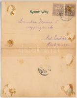 Pöstyén, Piestany, Pistyan; Búcsújárás az egészségért. A zarándokok, fürdők. 2-részes kihajtható pan...