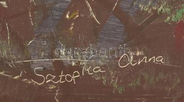 Sztopka Anna (1950-): Tanya kerítéssel. Olaj, farost, jelezve jobbra lent, 44x68 cm