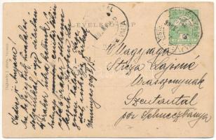 1909 Örményes, Armenis; Fő utca, Temes folyó hídja. Dajkovits J. utóda kiadása / main street, Timis ...