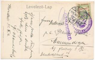 1916 Nagykőhavas, Hohenstein, Piatra Mare (Brassó, Brasov); kirándulók a Kőhavasi EKE (Erdélyi Kárpá...