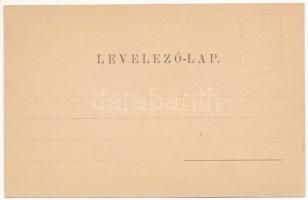 Barcaföldvár, Földvár, Marienburg, Feldioara; Fő tér, vár. H. Zeidner / main square, castle