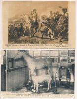 NAPOLEON - 12 db régi képeslap szép állapotban / 12 pre-1945 postcards in good quality