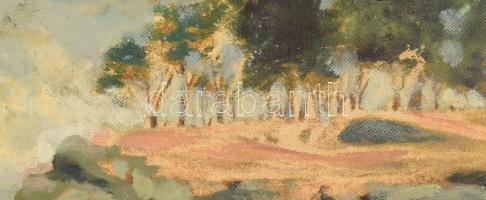 Jelzés nélkül, XX. sz. eleje: Napfényes vízpart vitorlással. Olaj, vászon. Hátoldalán román kiviteli...