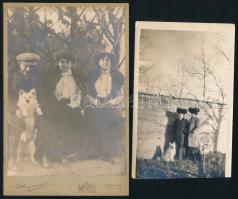 cca 1910 Hölgyek kutyával, 2 db fotó, egyik alul vágott, a keményhátú fotó Kürti soproni műterméből, 13×8 és 17×11 cm