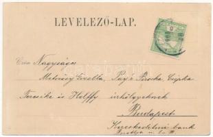 Buziás, Bazár szálloda, Fasor a meleg fürdőhöz. Herrling Károly kiadása / hotel, promenade to the sp...