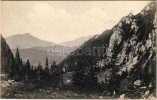 Bucsecs-hegység, Butschetsch, Muntii Bucegi; Malajester-Schlucht mit Schutzhütte. Siebenbürgische Karpathen / szurdok, menedékház, turistaház. Wilhelm Hiemesch kiadása / mountain rest house, tourist house, chalet