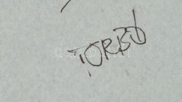 Torbó Gyula (?1940-?): Álarc. Tus, papír, jelzett, paszpartuban, 26x18 cm