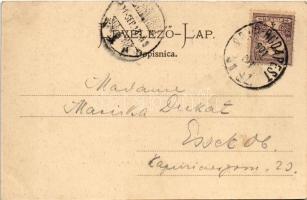 1901 Dálya, Dalja, Dalj; Gőzkomp Gombos és Erdőd között a szabad Dunán, gőzmozdony kompra állítása. ...