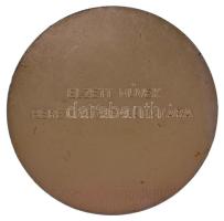 1983. "Úttörő Olimpia Debrecen 1983 / Elzett Művek Berettyóújfalui Gyára" Al emlékérem T:X...