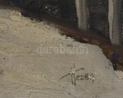 Holba Tivadar (1906-1995): Hóesés. Olaj, vászon, jelezve jobbra lent. Hátoldalán Képcsarnok Vállalat...