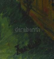 Olvashatatlan jelzéssel: Segesvár, ónművesek tornya. Olaj, vászon. Sérült. 48×40 cm