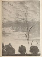 Gyurcsó István: Hegyeken - völgyeken. Útinapló. Bp.,1961, Szlovákiai Szépirodalmi Könyvkiadó. Kiadói...