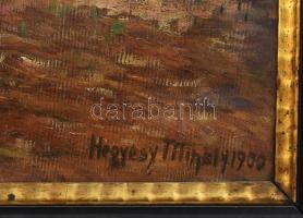 Hegyesy Mihály 1900 jelzéssel: Erdőszéle. Olaj, vászon. Sérült (festéklepergéssel). Antik, kissé kop...