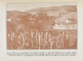 Prinz Gyula: Magyar földrajz. Magyarország tájrajza. A magyar éghajlat és a folyók vízjárása c. feje...