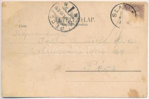 1901 Szalatnok, Szlatina, Slatine; multi-view postcard. Art Nouveau, floral (fl)