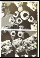 László Gyula: A népvándorláskor művészete Magyarországon. Bp.,1974, Corvina. Második kiadás. Rengete...