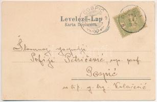 1905 Plaski (Lika), ortodox templom, építkezés / Orthodox church, consruction (fa)