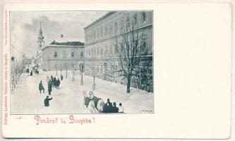 Goszpics, Gospic; street view in winter, horse chariots
