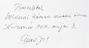 Diseri József: Így láttam Kaposvárt. Diseri József (1934?-2012) fényképész által Szikszai Rémusz (19...