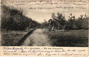 1902 Budapest XII. Új a János-hegyre. Schwarcz J. kiadása (EK)