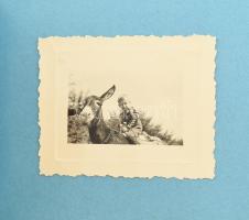 cca 1940 Cserkészek Erdélyben. dr. Csorba Enő és a Madách Gimnázium csapata fotóalbum 66 fotóval 3x4...