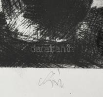 Szász Endre (1926-2003): Turbános (cím nélkül). Rézkarc, papír, jelzett, üvegezett fakeretben, 35×29...