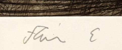 Szász Endre (1926-2003): Portré (cím nélkül). Rézkarc, papír, jelzett, üvegezett fakeretben, 35×29 c...