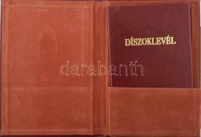 Vegyes igazolvány és bizonyítvány tétel: aranydiploma, árszakértői levél, könyvvizsgálói oklevél köz...