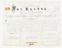 1904 Orvosi diploma Stiller Ödön részére pergamen