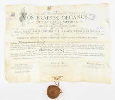 1910 Gyógyszerész diploma Ehrlich Julianna részére pergamen függő viaszpecséttel