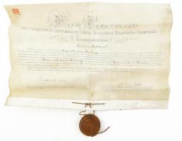 1905 Államtudományi diploma a Kolozsvári Tudományegyetemről Szontágh András részére pergamen függő (sérült) viaszpecséttel