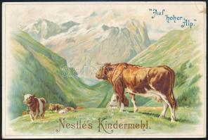 cca 1900 Nestlé litho reklám kártya kis sérüléssel 15x10 cm