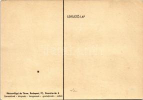 Rózsavölgyi és Társa reklámja, zeneművek - könyvek - gramofonok - lemezek - rádiók - hangszerek. Bud...