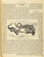 1867 Das Buch für Alle. Illustrierte Blätter zur Unterhaltung und Belehrung. Für die Familie und Jed...