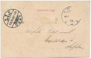 1901 Arad, Braun és Schuch Japán tea és kávéháza, belső pincérrel. Bloch H. kiadása / Japanese tea h...