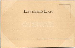 Arad, Kilényi R. és Reich I. bazára a színház épületben. Honisch udvari fényképész felvétele / shop ...