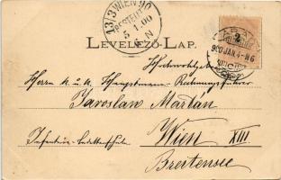 1900 Arad, vár. Jakob Krausz kiadása, Honisch felvétele után / castle