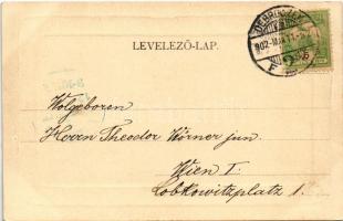 1902 Arad, Líceum és a fából készült Nyári színház / grammar school, summer theatre (r)