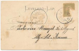 1904 Arad, Újarad, Új-Arad, Aradul Nou; Skultéty síremléke, Fő utca, Rigler János üzlete. Mayr Lajos...